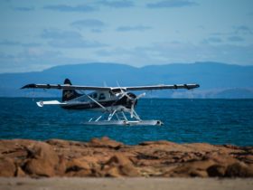 Scenic flight Tasmania