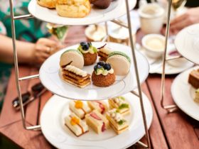 The Windsor's Afternoon Tea