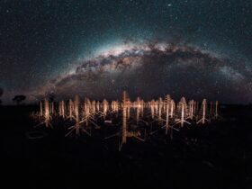 The Milky Way over prototype antennas for the SKA at CSIRO’s Murchison Radio-astronomy Observatory