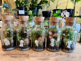 Several cute terrariums in small glass bottles with cork lids, featuring tiny plants.