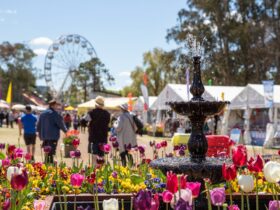 Floriade - Australia's Biggest Celebration of Spring
