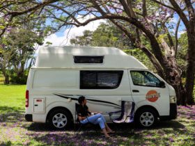 A woman sits in a campchair under the shade of a jacaranda tree next to a Hippie Endeavour Camper