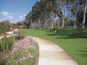 Kings Park Botanical Walks