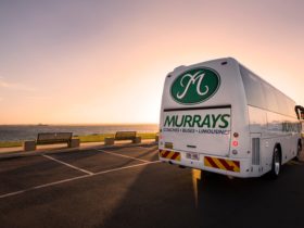 A Murrays Coach at sunrise