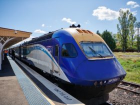 NSW TrainLink XPT train