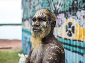 Local Tiwi Islands man in traditional body paint