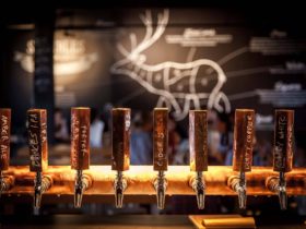 Copper taps at our main bar with our logo painted on the back all