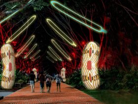 The Cairns Esplanade will become our living storybook transformed through spectacular art and light