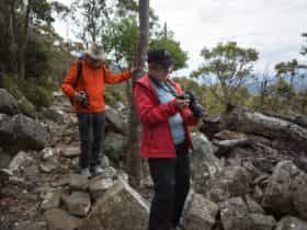 Photographers on walkabout on Mt Wellington - with Shutterbug Walkabouts (photography tours)
