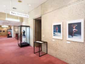 Tony Gould Gallery